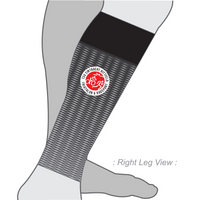 PERFORMANCE+ Aero Calf Sleeves