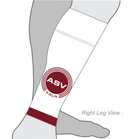 PERFORMANCE+ Aero Calf Sleeves