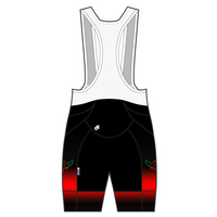 APEX+ Indoor Bib Shorts