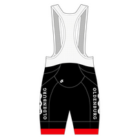 APEX+ Indoor Bib Shorts