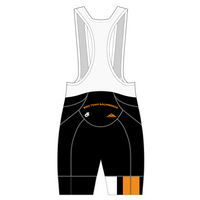 APEX+ Indoor Bib Shorts