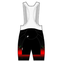 APEX+ Indoor Bib Shorts
