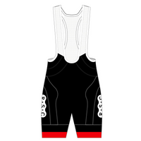 APEX+ Indoor Bib Shorts