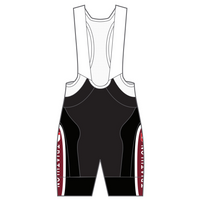 APEX+ Indoor Bib Shorts