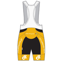 APEX+ Indoor Bib Shorts