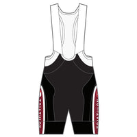 APEX+ Indoor Bib Shorts
