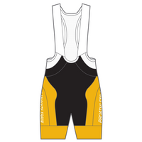 APEX+ Indoor Bib Shorts