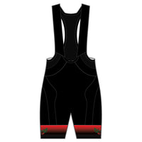 APEX+ Indoor Bib Shorts