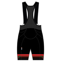 APEX+ Indoor Bib Shorts