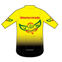 APEX+ Zero Jersey - Langarm