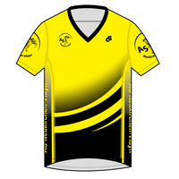 Apex Men's Run Top V-Neck