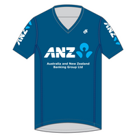 Apex Men's Run Top V-Neck