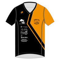 Apex Men's Run Top V-Neck