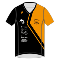 Apex Men's Run Top V-Neck