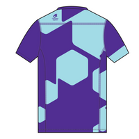 Apex Men's Run Top V-Neck