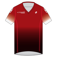 Apex Men's Run Top V-Neck