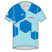 Apex Men's Run Top V-Neck