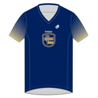 Apex Men's Run Top V-Neck