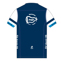 Apex Men's Run Top V-Neck