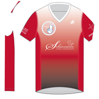 Apex Men's Run Top V-Neck