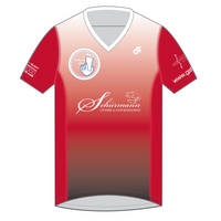 Apex Men's Run Top V-Neck