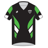 Apex Men's Run Top V-Neck