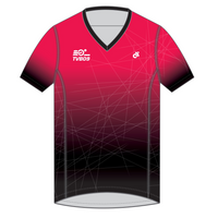 Apex Men's Run Top V-Neck