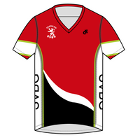 Apex Men's Run Top V-Neck