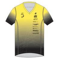 Apex Men's Run Top V-Neck