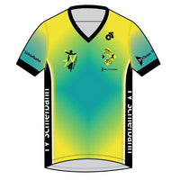 Apex Men's Run Top V-Neck