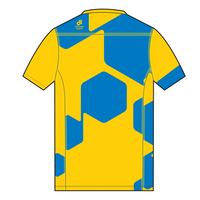 Apex Men's Run Top V-Neck