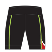 APEX+ Ultra Race Shorts