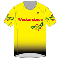 PERFORMANCE+ Man's Run Top