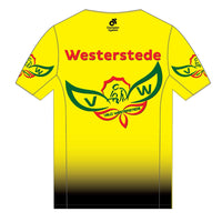 PERFORMANCE+ Man's Run Top