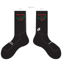 APEX Aero Race Socks