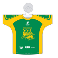 MINI Promo Jersey
