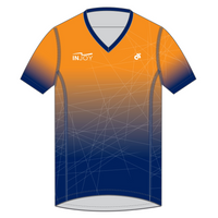 Apex Men's Run Top V-Neck