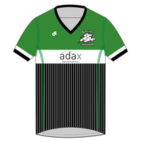 Apex Men's Run Top V-Neck