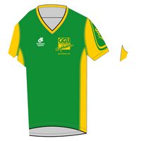 Apex Men's Run Top V-Neck