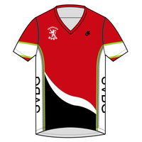 Apex Men's Run Top V-Neck