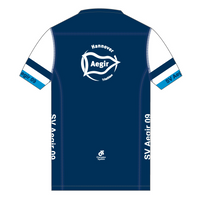 Apex Men's Run Top V-Neck