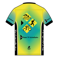 Apex Men's Run Top V-Neck