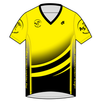 Apex Men's Run Top V-Neck