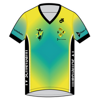 Apex Men's Run Top V-Neck