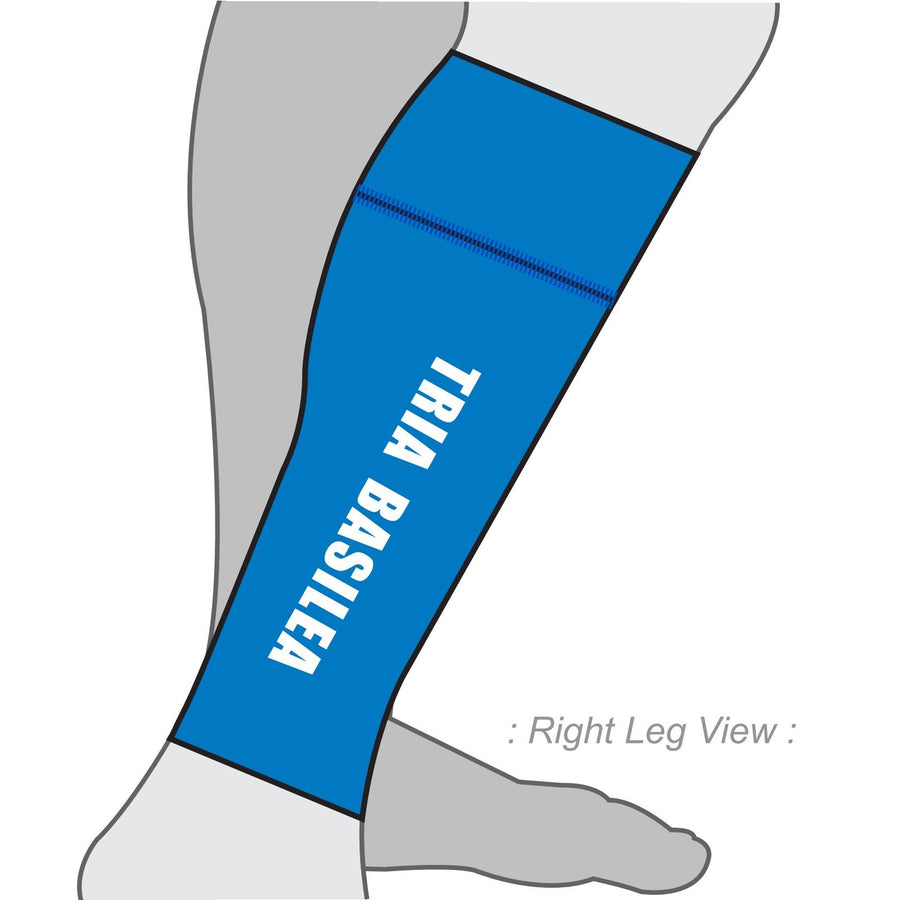 PERFORMANCE+ Aero Calf Sleeves