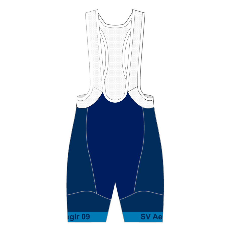 Performance Winter Bib Shorts