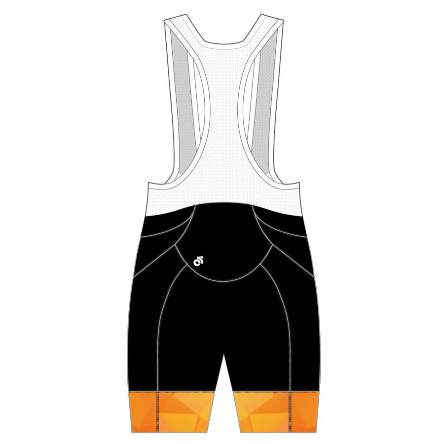 APEX+ Indoor Bib Shorts
