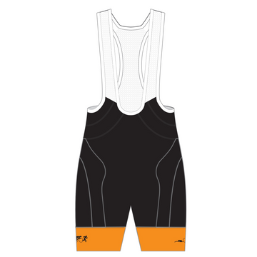 APEX+ Indoor Bib Shorts