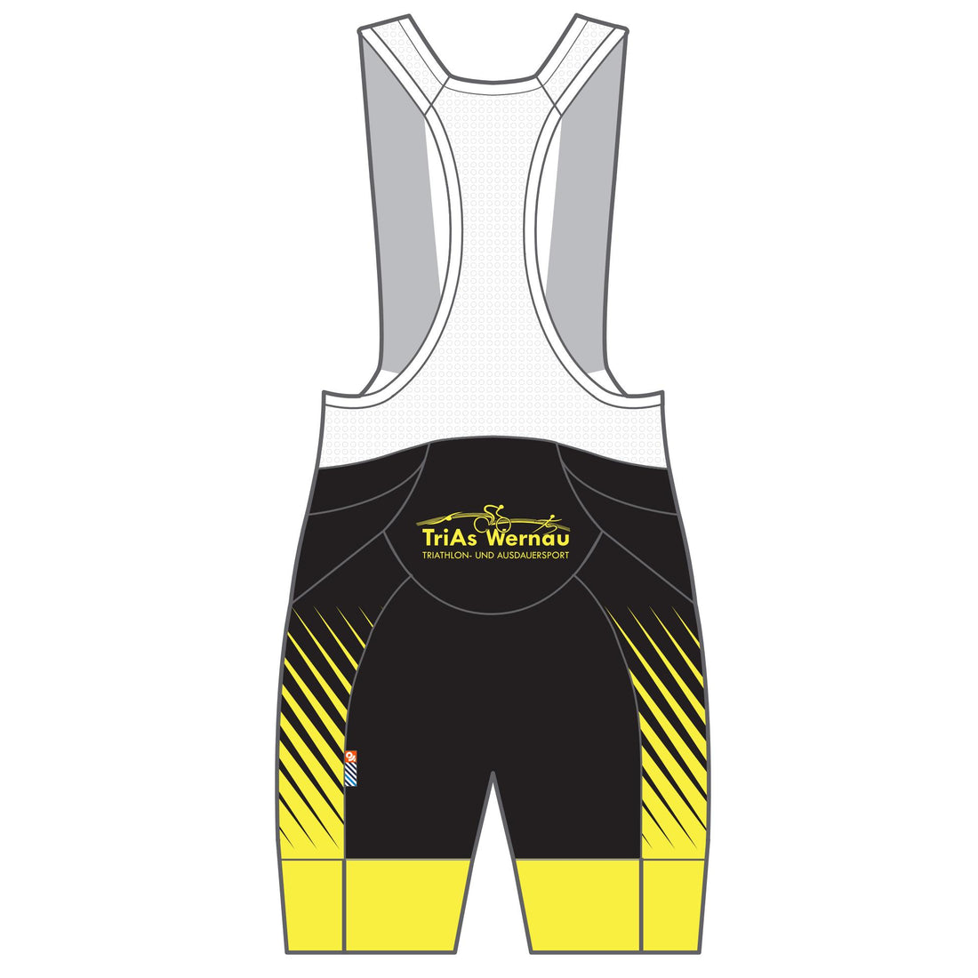 APEX+ Indoor Bib Shorts