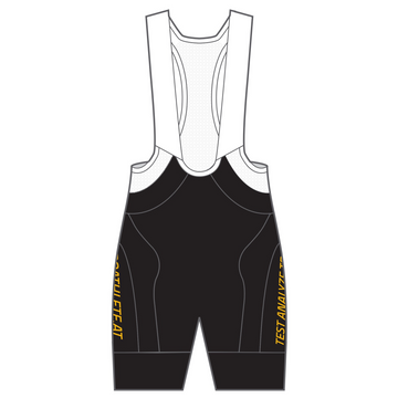 APEX+ Indoor Bib Shorts